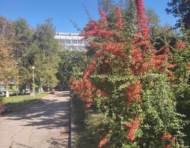 Территория