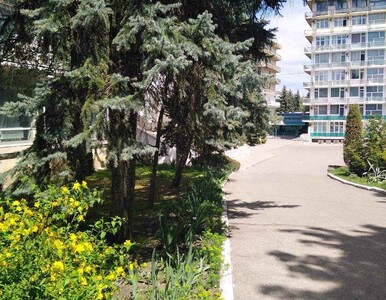 Территория