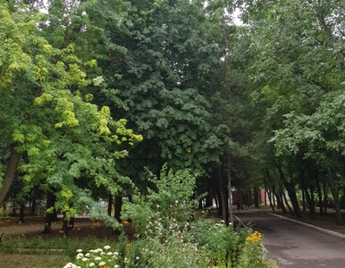 Миниатюра галереи