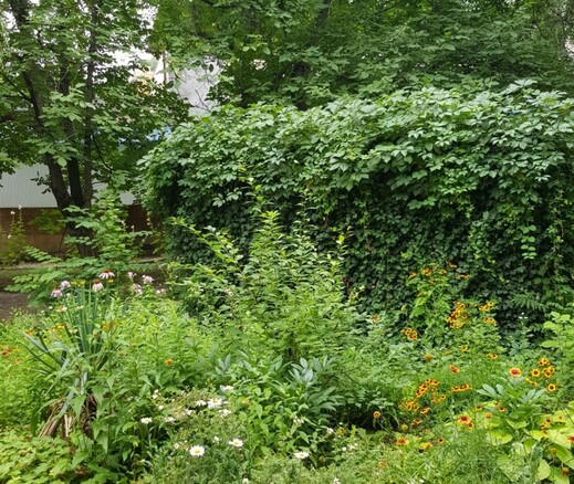 Слайд галереи санатория