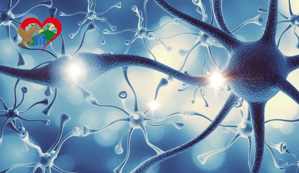 Восстановление нервной системы — «Максимум»