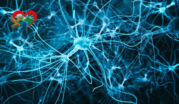 Заболевания и травмы центральной и периферической нервной системы и др.